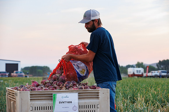 Seminis2022_Idaho_428