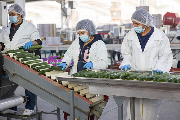Seminis2023_MX_Wholesum_1591