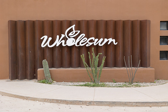 Seminis2023_MX_Wholesum_2540