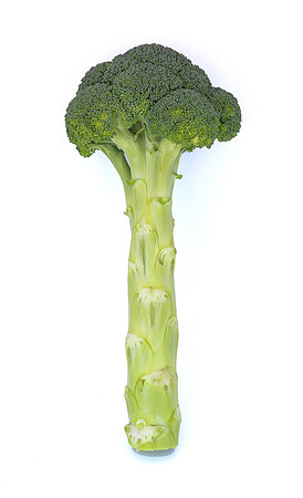 Eiffel_Brocolli_70