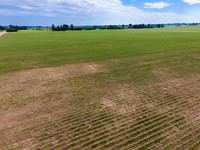 ThryvOn_2022_TurnageFarms_cdp_114