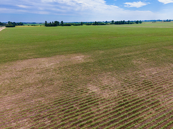 ThryvOn_2022_TurnageFarms_cdp_114
