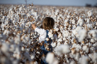 RRXCottonTexas_cdp_2483