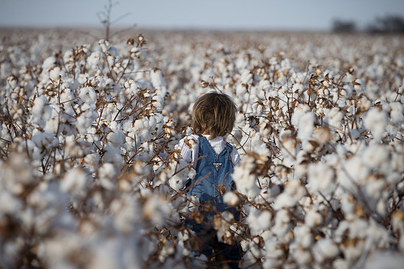RRXCottonTexas_cdp_2491