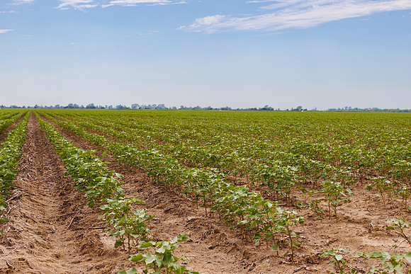 ThryvOn_2022_TurnageFarms_cdp_72