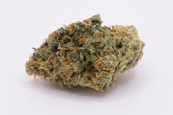 RobustMissouri_FF_12