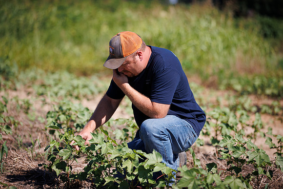 ThryvOn_2022_GriggsFarms_cdp_91