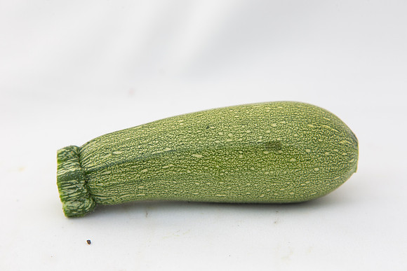 Squash_Adelita_MX_0075