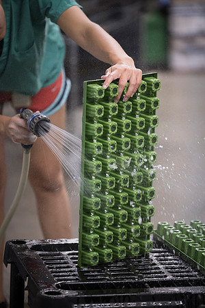 RobustMissouri_Fertigation_160