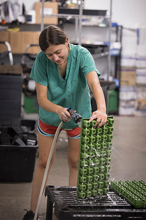 RobustMissouri_Fertigation_142