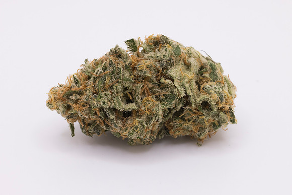 RobustMissouri_FF_15