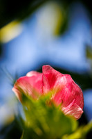 ThryvOn_2022_ScottLC_cdp_252