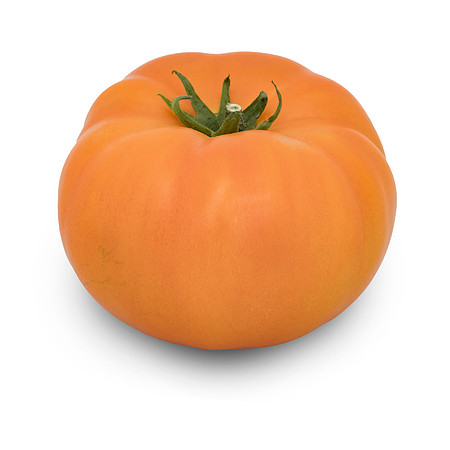 Tomato_DRTC5049_80
