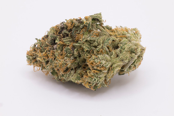 RobustMissouri_FF_10