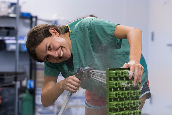 RobustMissouri_Fertigation_301