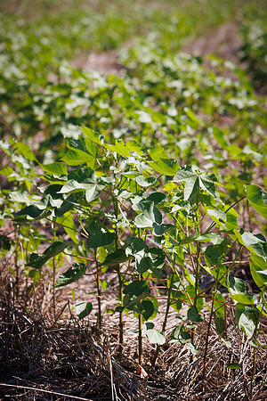 ThryvOn_2022_GriggsFarms_cdp_49