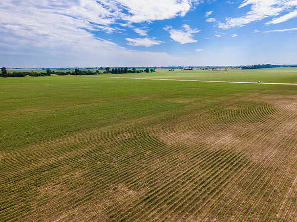 ThryvOn_2022_TurnageFarms_cdp_120