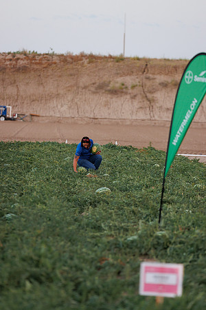 Seminis2022_Idaho_260