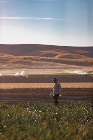 Seminis2022_Idaho_1588
