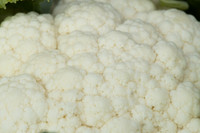 Cauliflower_Kurdivex_CA_0027
