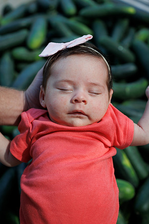 Seminis2022_FL_BabyKirkland_24