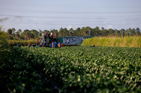 Seminis2022_FL_Bedner_70