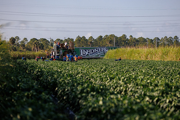 Seminis2022_FL_Bedner_70