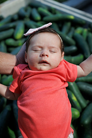 Seminis2022_FL_BabyKirkland_36