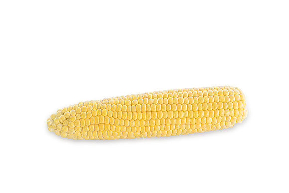 SweetCorn_Skyray_53
