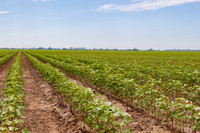 ThryvOn_2022_TurnageFarms_cdp_69