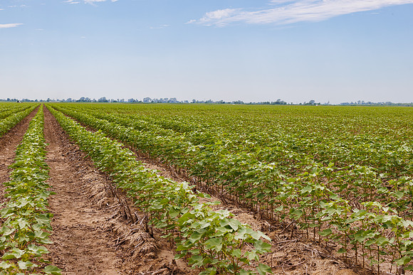 ThryvOn_2022_TurnageFarms_cdp_69