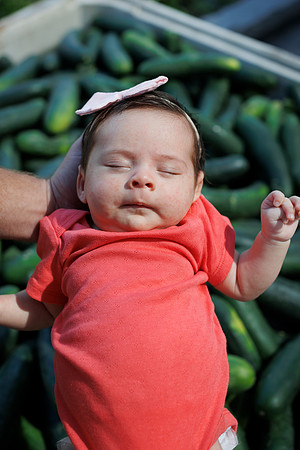 Seminis2022_FL_BabyKirkland_40
