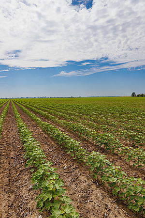ThryvOn_2022_TurnageFarms_cdp_92