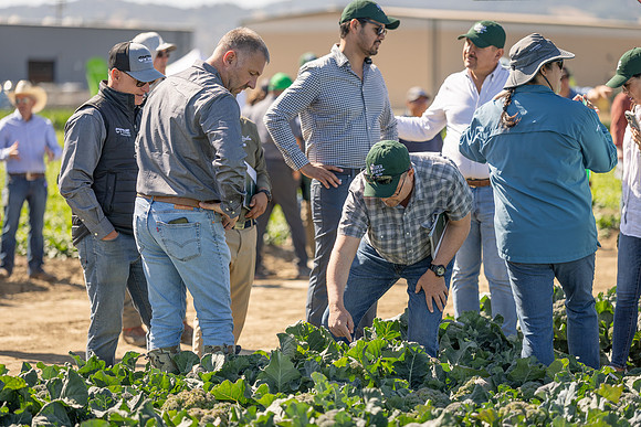 CytheHarvester_SJB_FieldDay2025_18
