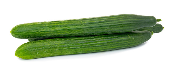 Cucumber_1377_8