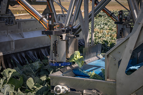 CytheHarvester_SJB_FieldDay2025_292