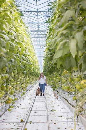 DeRuiter2024_ON_RidgeFarms_218