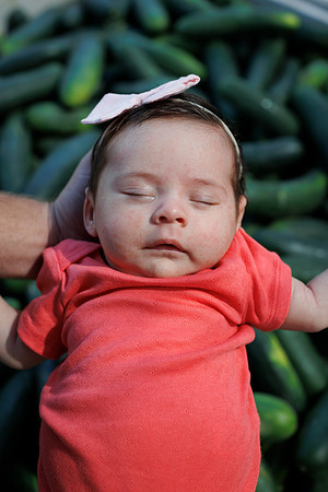 Seminis2022_FL_BabyKirkland_23