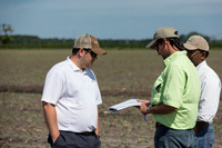 DownyMildew_Trial_MI_0009