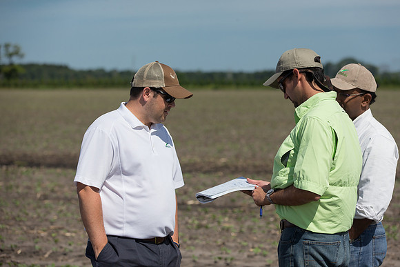 DownyMildew_Trial_MI_0009