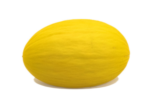 Martori_Canary_6
