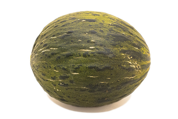Martori_PielDeSapo_5