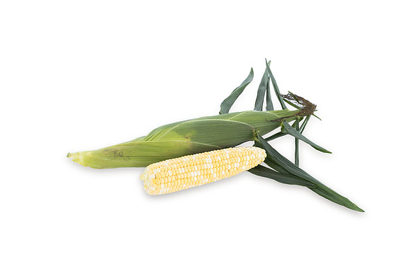 SweetCorn_SVSA0313_22