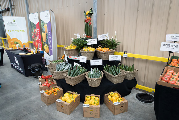 DeRuiter_Leamington_0032