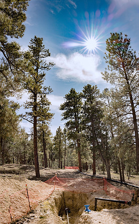 Insitufom_PrimusLine_GC_AZ_386p