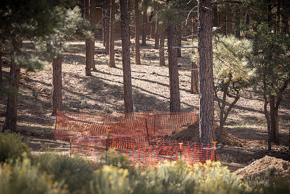 Insitufom_PrimusLine_GC_AZ_558