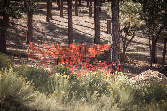 Insitufom_PrimusLine_GC_AZ_562
