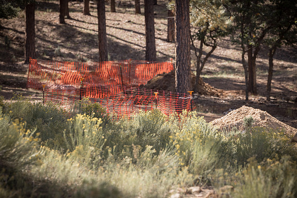 Insitufom_PrimusLine_GC_AZ_565
