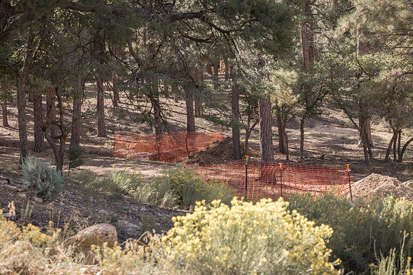 Insitufom_PrimusLine_GC_AZ_576