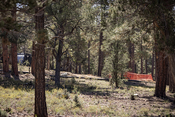 Insitufom_PrimusLine_GC_AZ_719